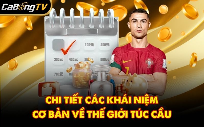 Chi tiết các khái niệm cơ bản về thế giới túc cầu
